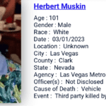 3/1/2023: Bystander Herbert Muskin, age 101, killed when police chased