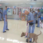 Second Chances: Florida’s Prison-Dog Programs